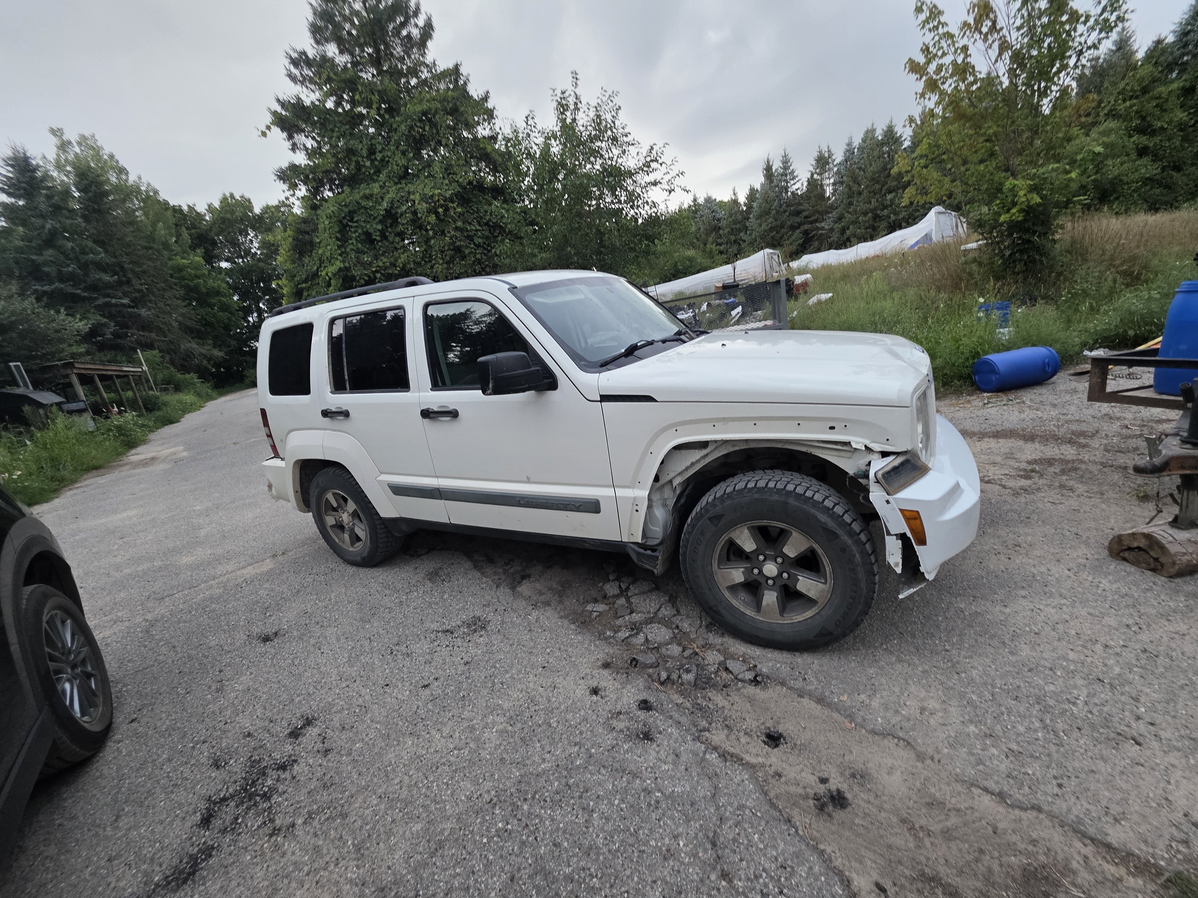 Third Deer damage photo